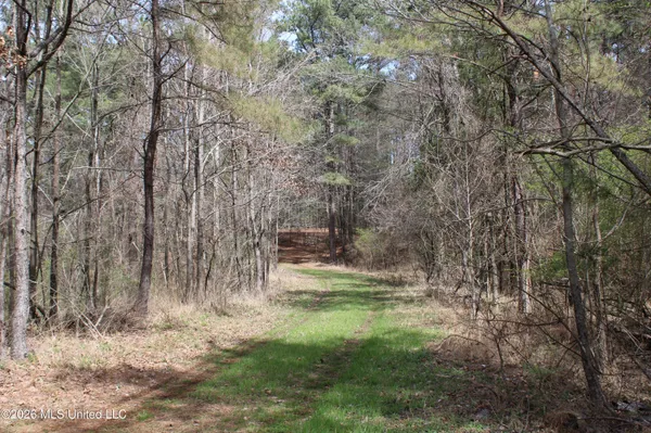 $10,500,000 | 4500 Jaybird Road, Hernando, MS 38632