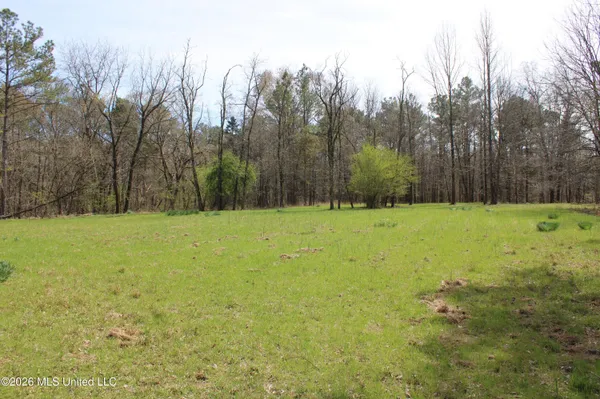 $10,500,000 | 4500 Jaybird Road, Hernando, MS 38632