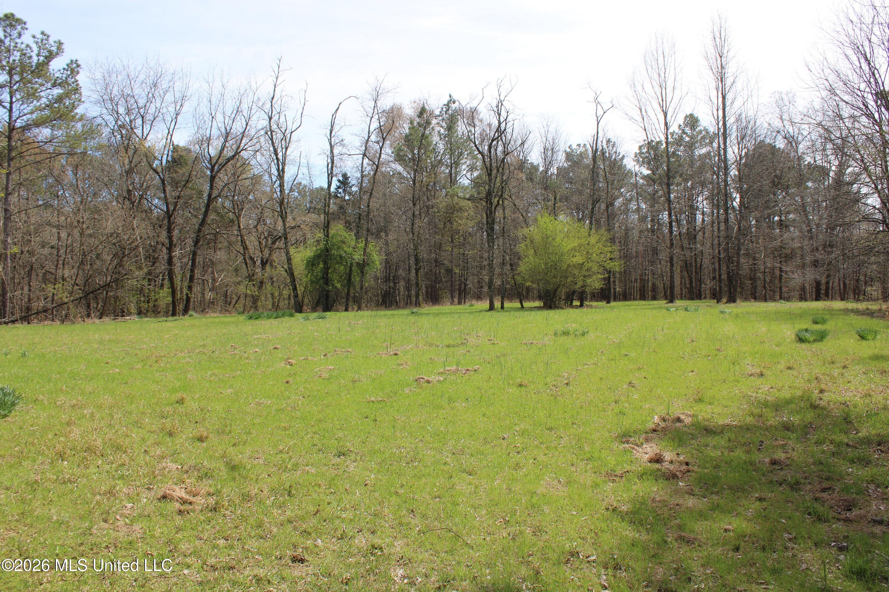 4500 Jaybird Road Hernando, MS 38632 - Photo 11 of 55 IMG_7539