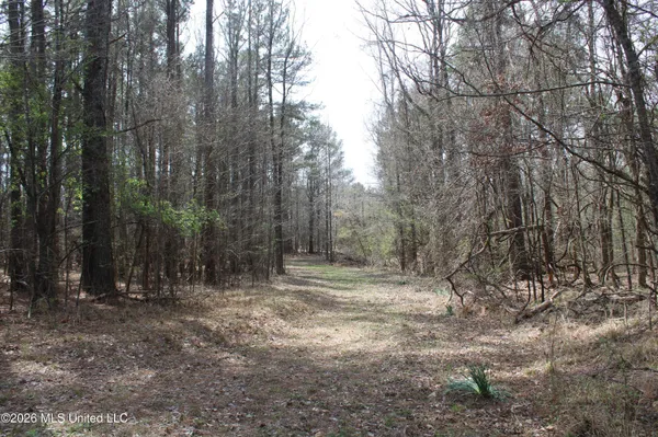 $10,500,000 | 4500 Jaybird Road, Hernando, MS 38632