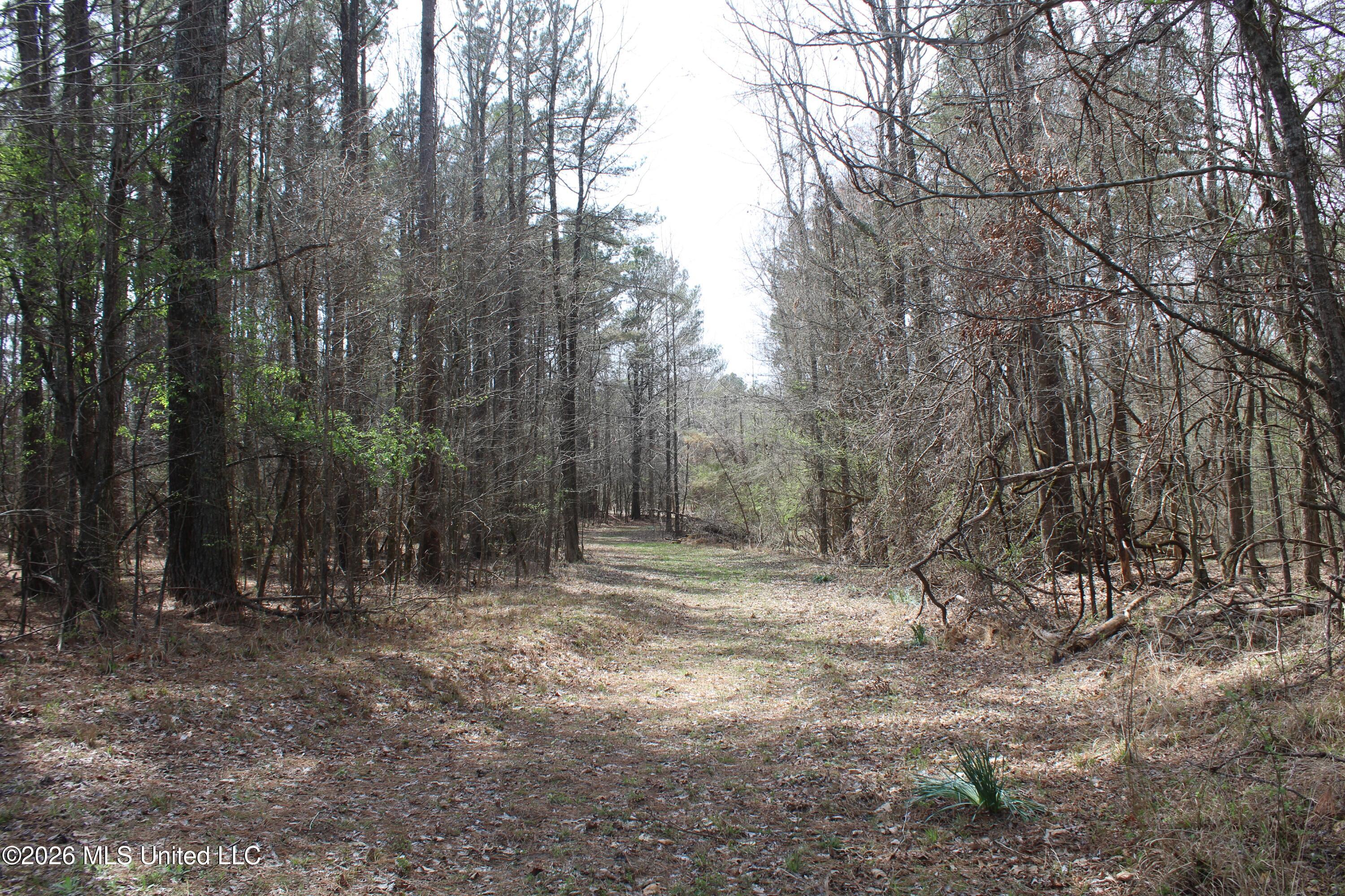 4500 Jaybird Road Hernando, MS 38632 - Photo 12 of 55 IMG_7540