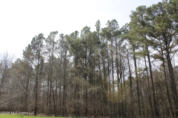 $10,500,000 | 4500 Jaybird Road, Hernando, MS 38632