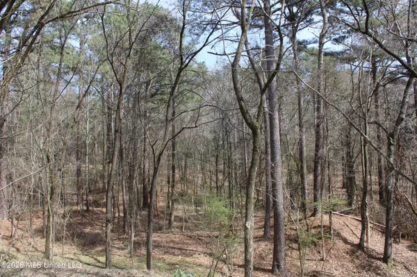 $10,500,000 | 4500 Jaybird Road, Hernando, MS 38632