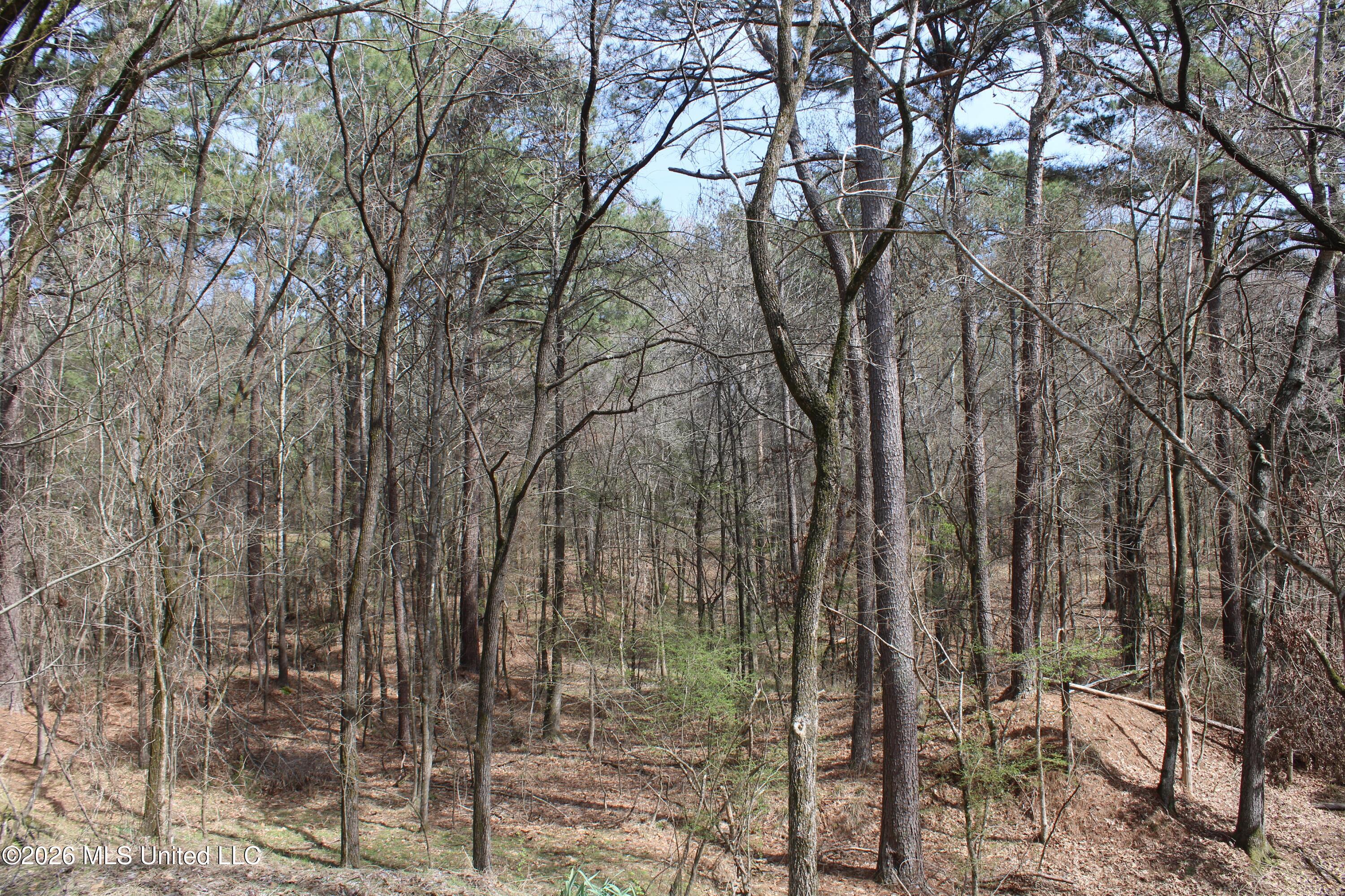 4500 Jaybird Road Hernando, MS 38632 - Photo 14 of 55 IMG_7542