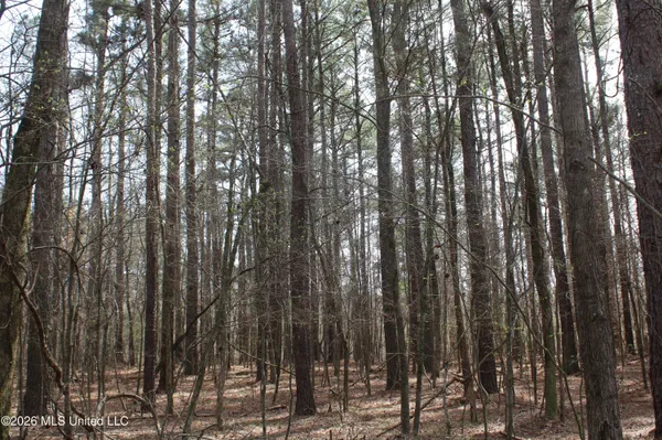 $10,500,000 | 4500 Jaybird Road, Hernando, MS 38632