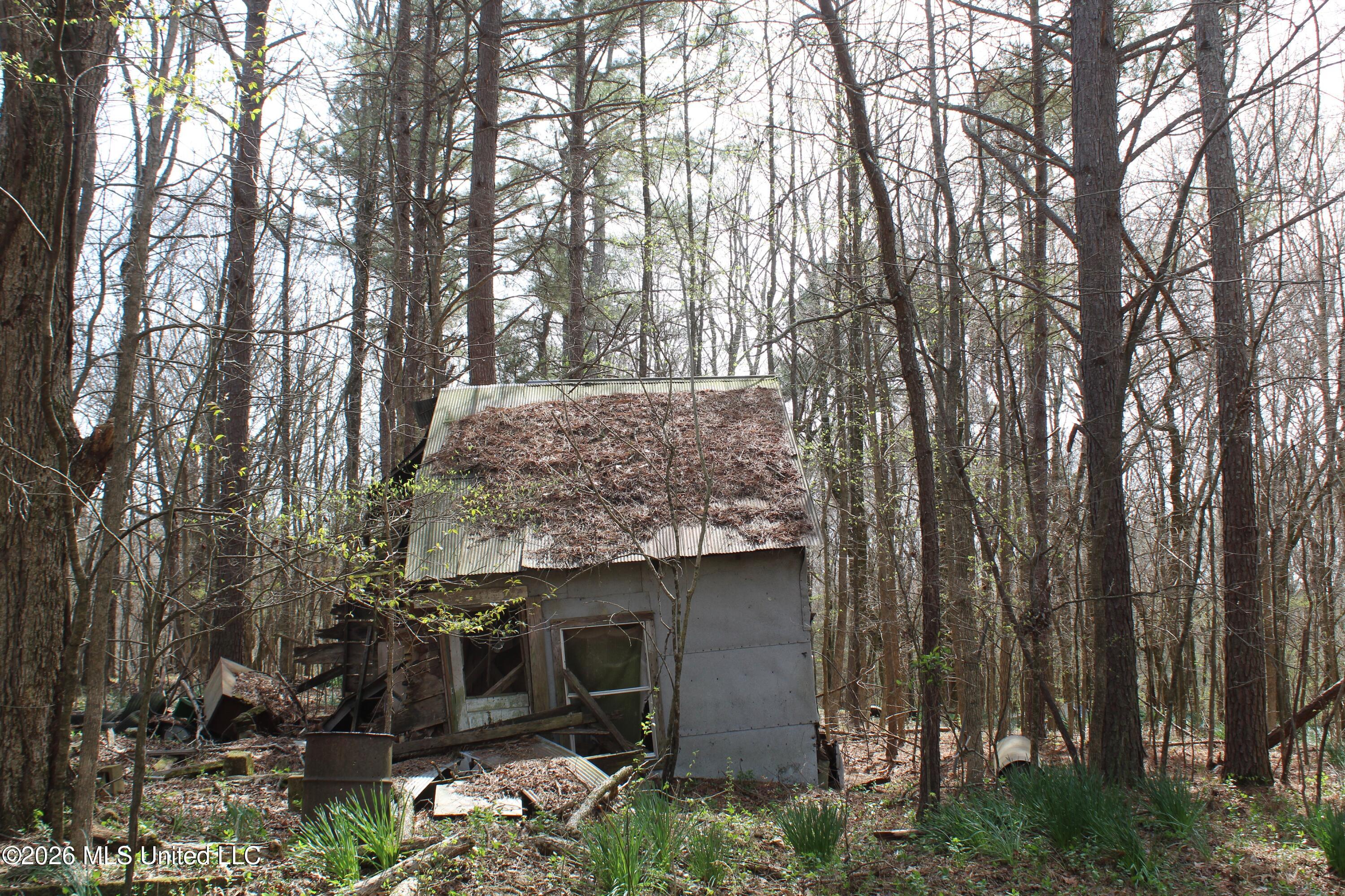 4500 Jaybird Road Hernando, MS 38632 - Photo 16 of 55 IMG_7545