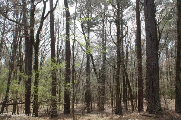 $10,500,000 | 4500 Jaybird Road, Hernando, MS 38632