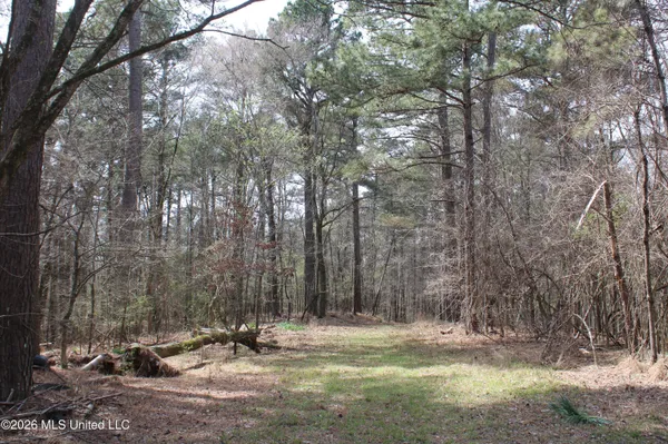 $10,500,000 | 4500 Jaybird Road, Hernando, MS 38632