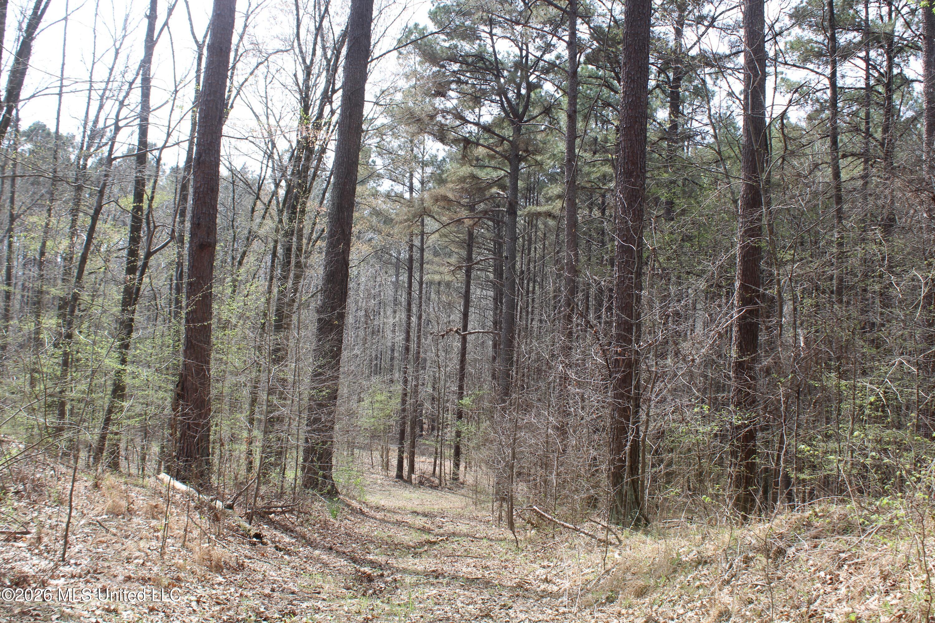 4500 Jaybird Road Hernando, MS 38632 - Photo 19 of 55 IMG_7548