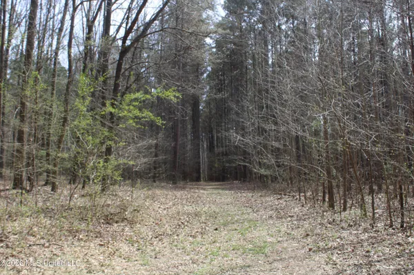 $10,500,000 | 4500 Jaybird Road, Hernando, MS 38632