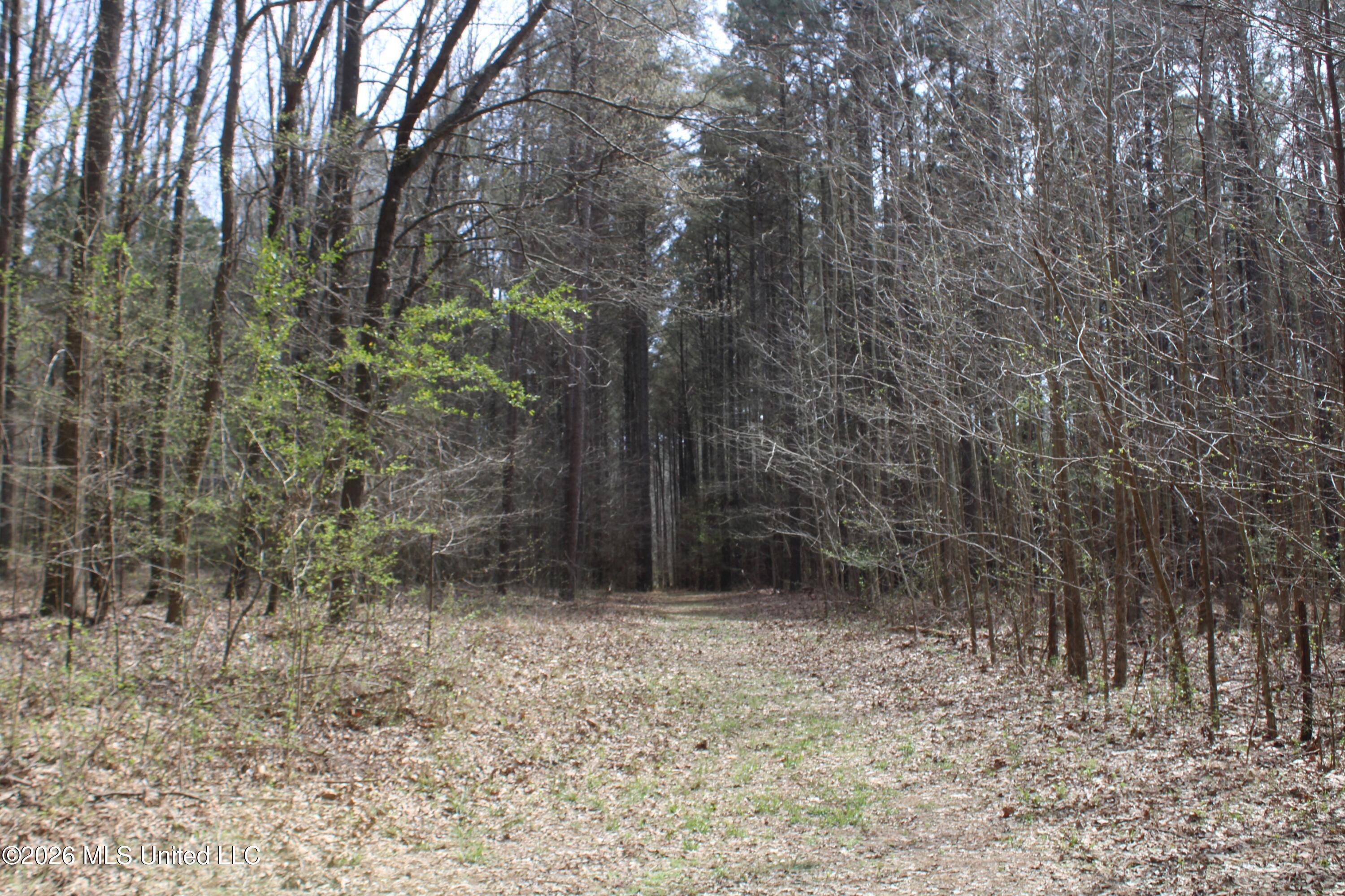 4500 Jaybird Road Hernando, MS 38632 - Photo 20 of 55 IMG_7549