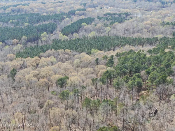 $10,500,000 | 4500 Jaybird Road, Hernando, MS 38632