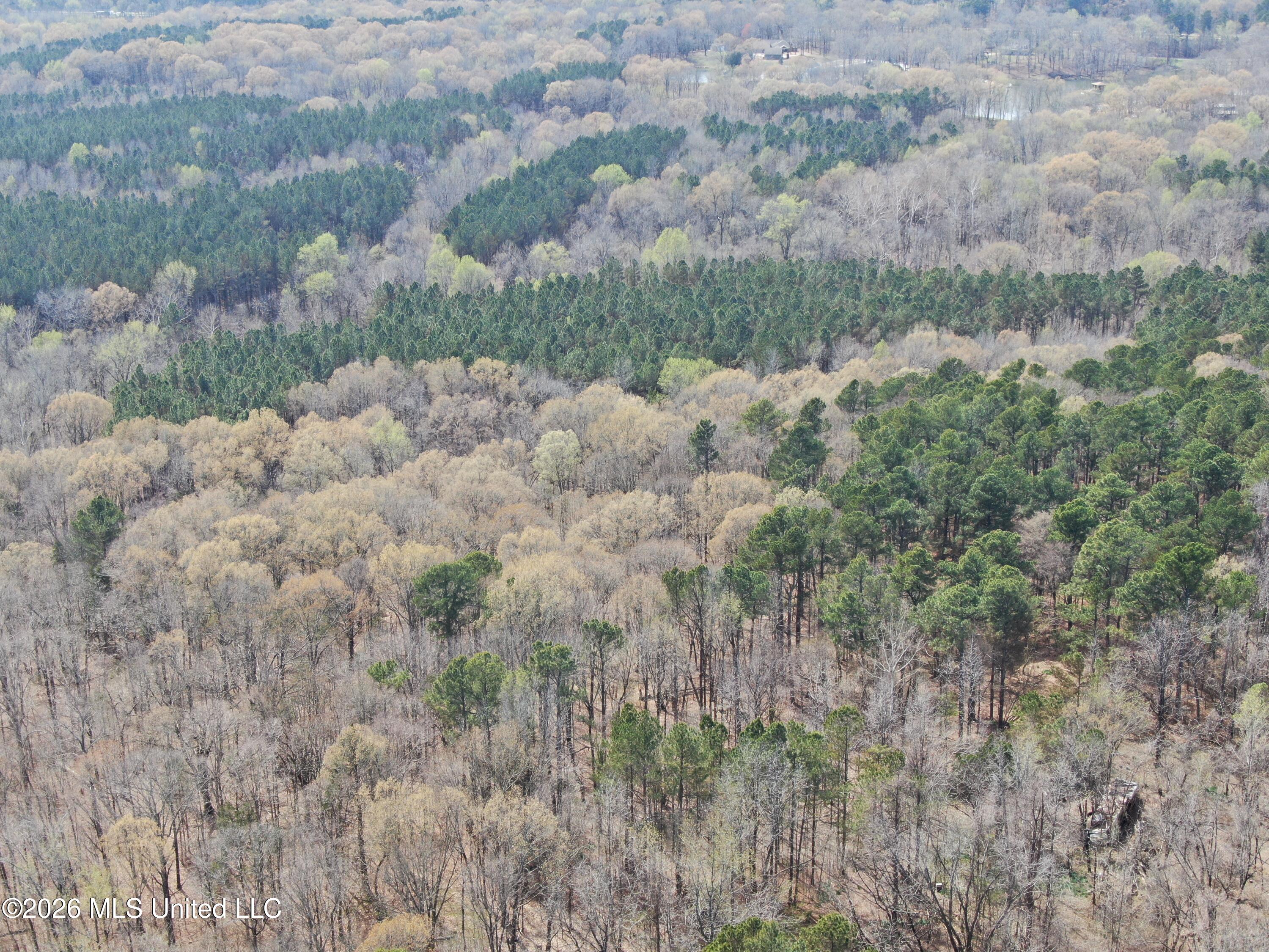 4500 Jaybird Road Hernando, MS 38632 - Photo 2 of 55 DJI_0849