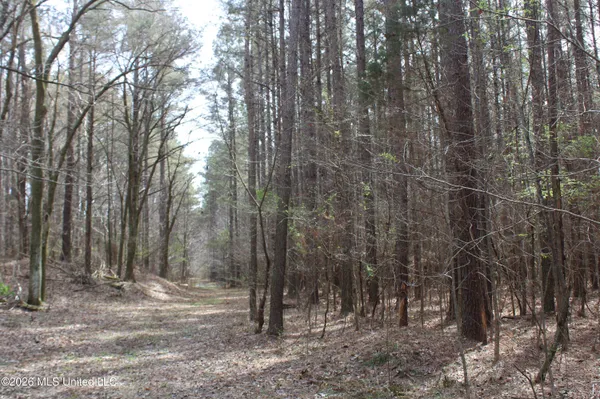 $10,500,000 | 4500 Jaybird Road, Hernando, MS 38632