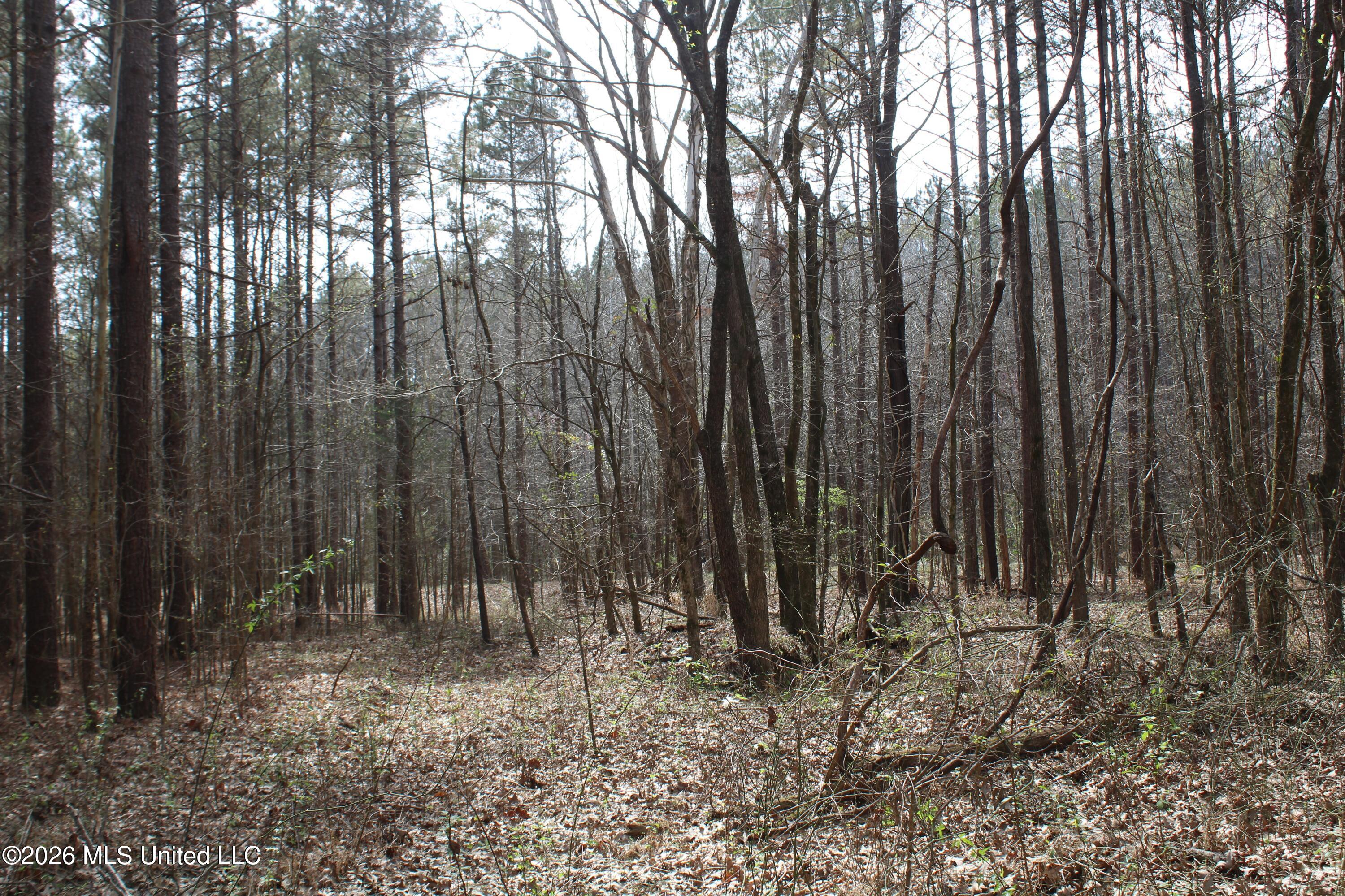 4500 Jaybird Road Hernando, MS 38632 - Photo 23 of 55 IMG_7552