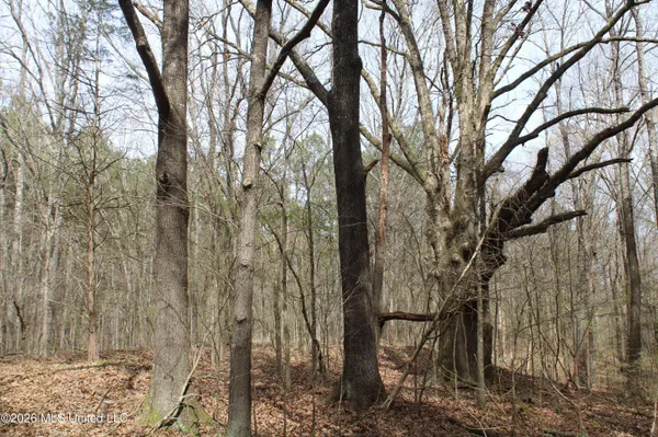 $10,500,000 | 4500 Jaybird Road, Hernando, MS 38632