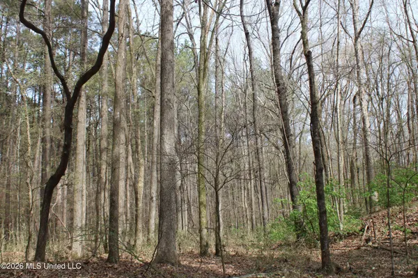 $10,500,000 | 4500 Jaybird Road, Hernando, MS 38632