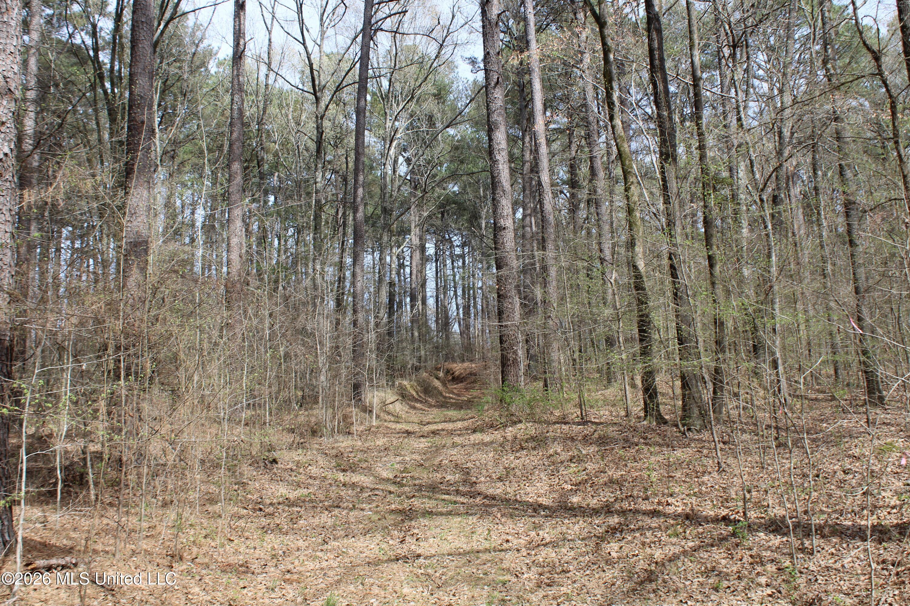 4500 Jaybird Road Hernando, MS 38632 - Photo 27 of 55 IMG_7557