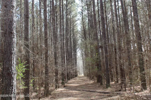 $10,500,000 | 4500 Jaybird Road, Hernando, MS 38632