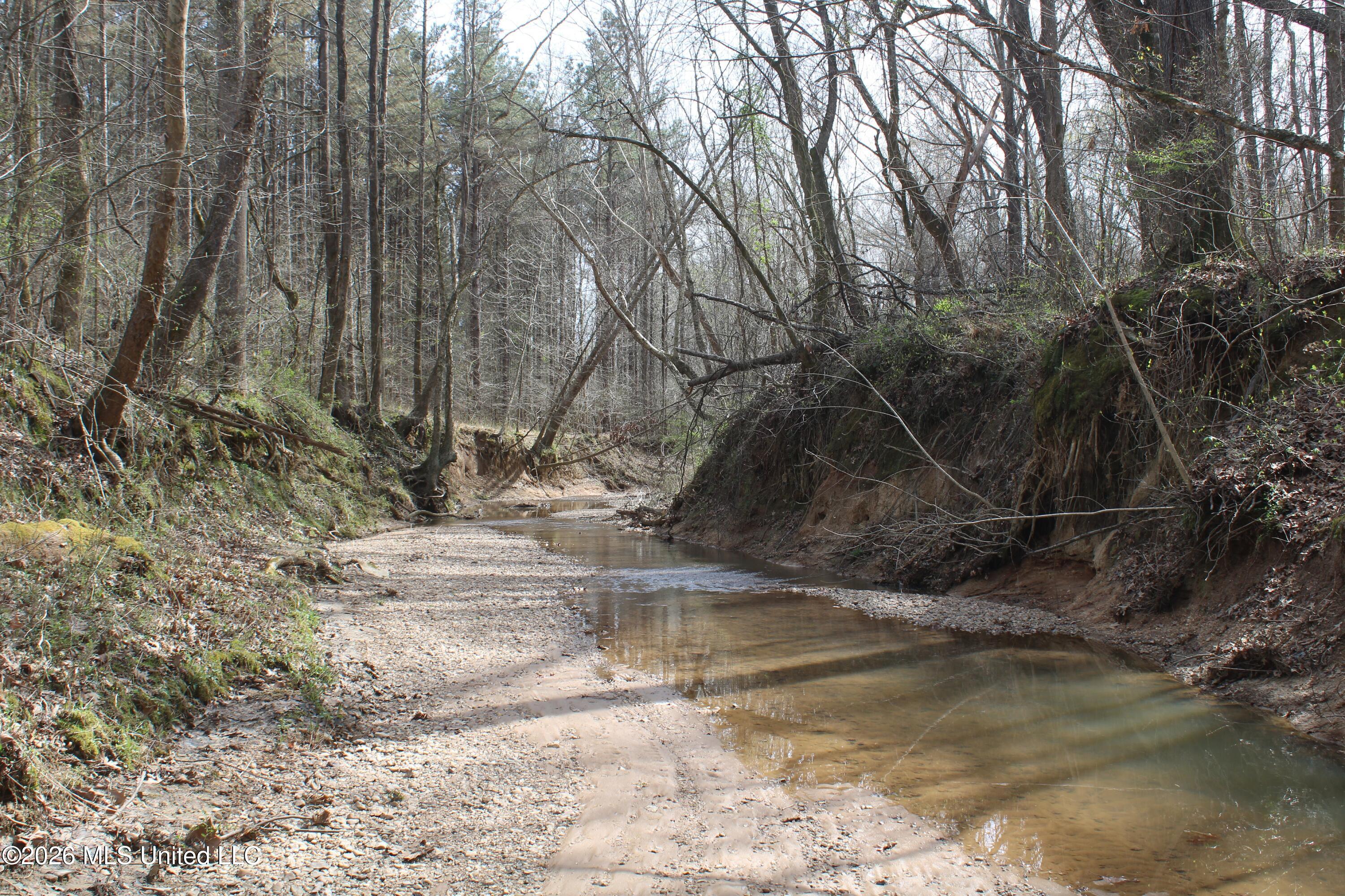 4500 Jaybird Road Hernando, MS 38632 - Photo 29 of 55 IMG_7559