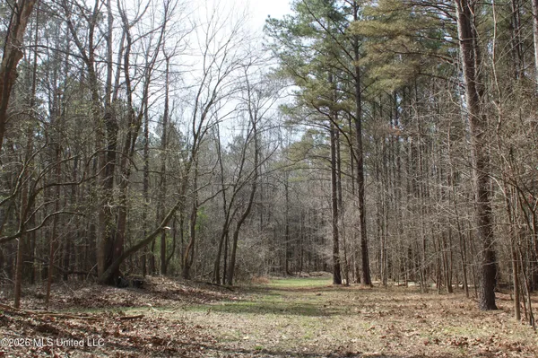 $10,500,000 | 4500 Jaybird Road, Hernando, MS 38632