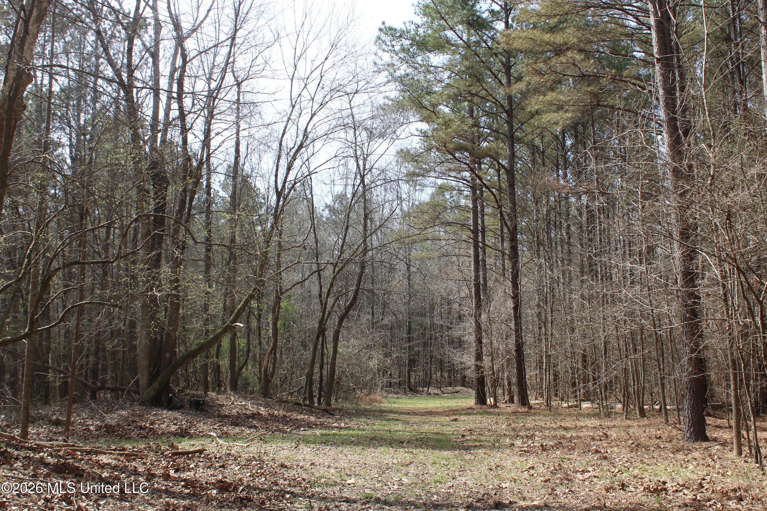 4500 Jaybird Road Hernando, MS 38632 - Photo 30 of 55 IMG_7560