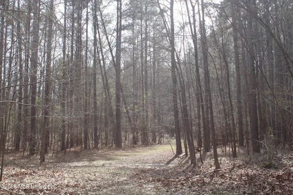 $10,500,000 | 4500 Jaybird Road, Hernando, MS 38632