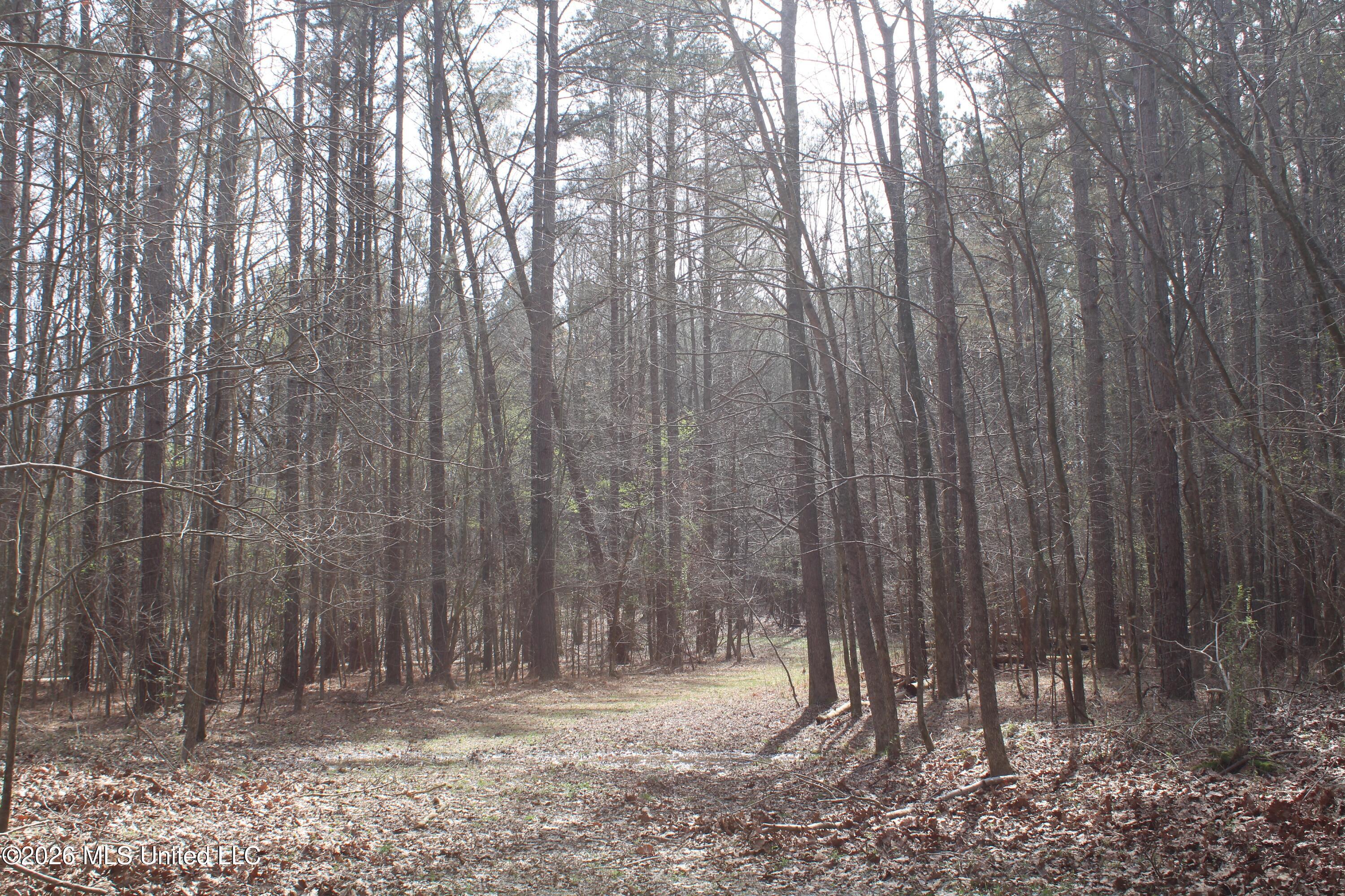 4500 Jaybird Road Hernando, MS 38632 - Photo 31 of 55 IMG_7561