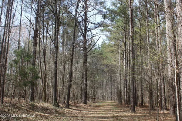 $10,500,000 | 4500 Jaybird Road, Hernando, MS 38632