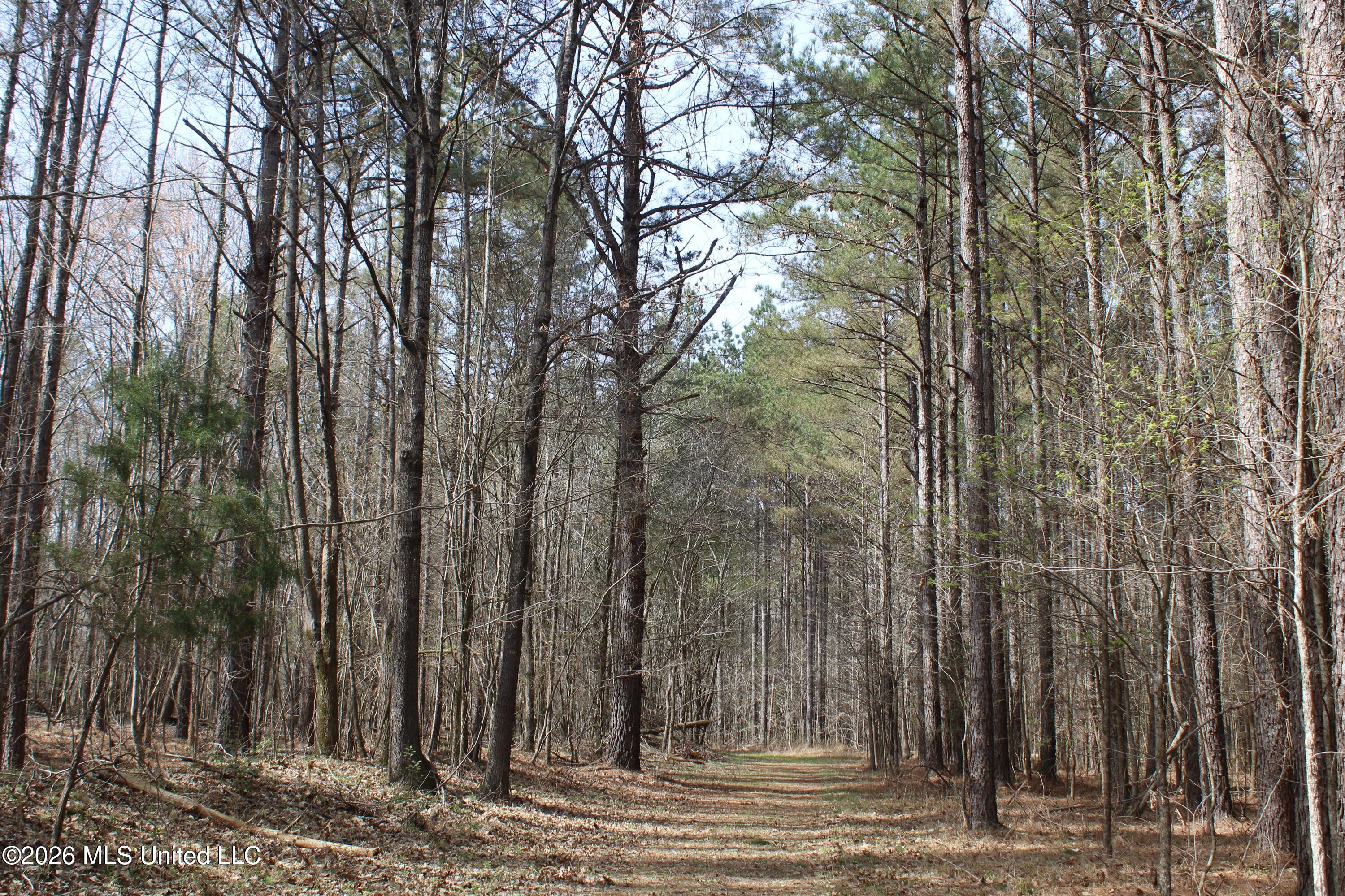 4500 Jaybird Road Hernando, MS 38632 - Photo 32 of 55 IMG_7562