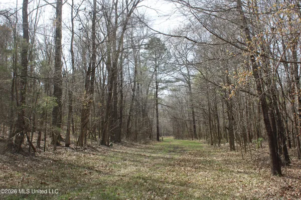 $10,500,000 | 4500 Jaybird Road, Hernando, MS 38632