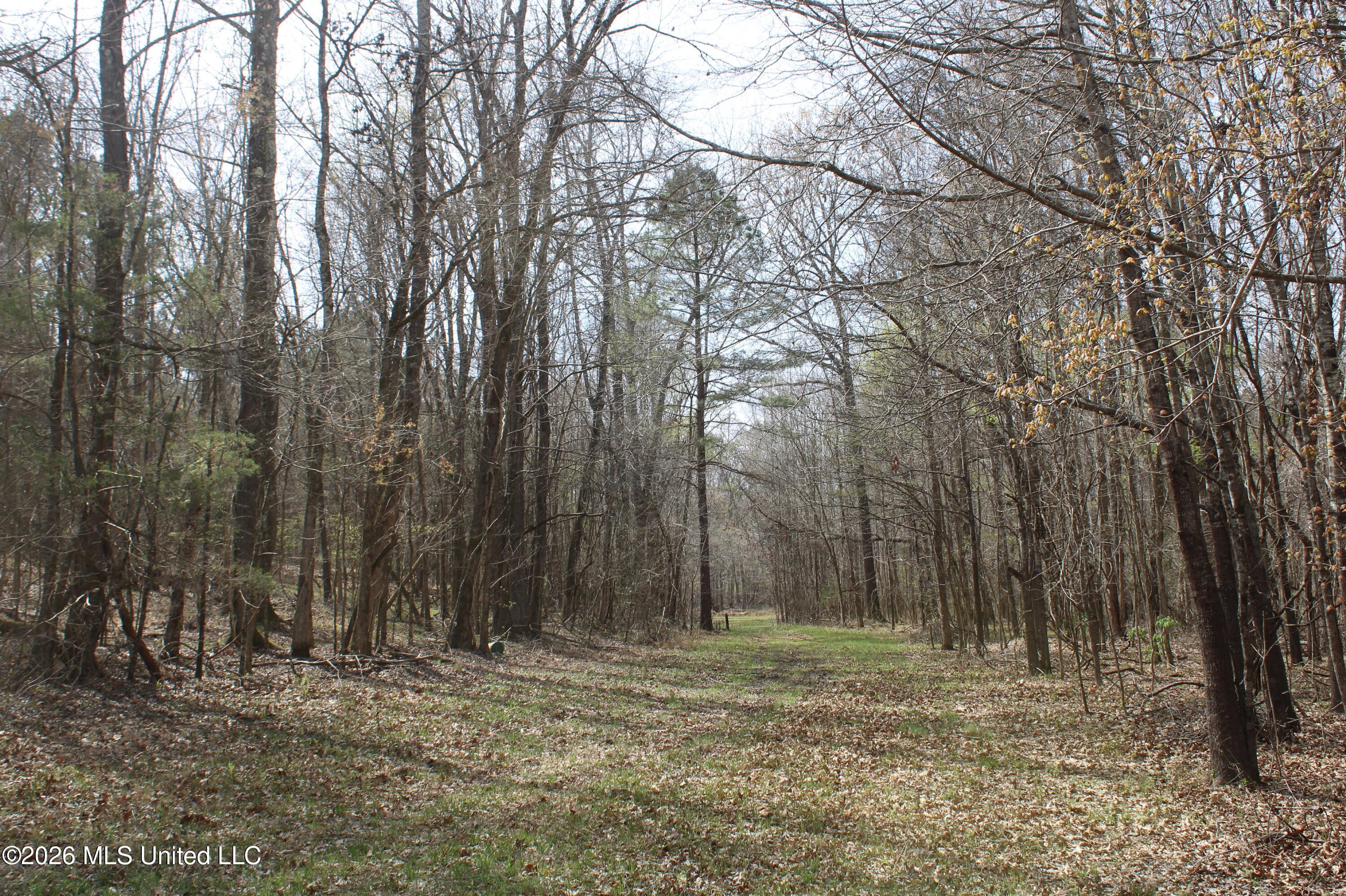 4500 Jaybird Road Hernando, MS 38632 - Photo 33 of 55 IMG_7563