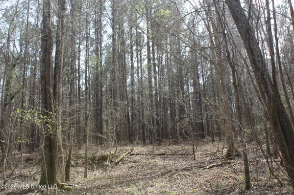 $10,500,000 | 4500 Jaybird Road, Hernando, MS 38632