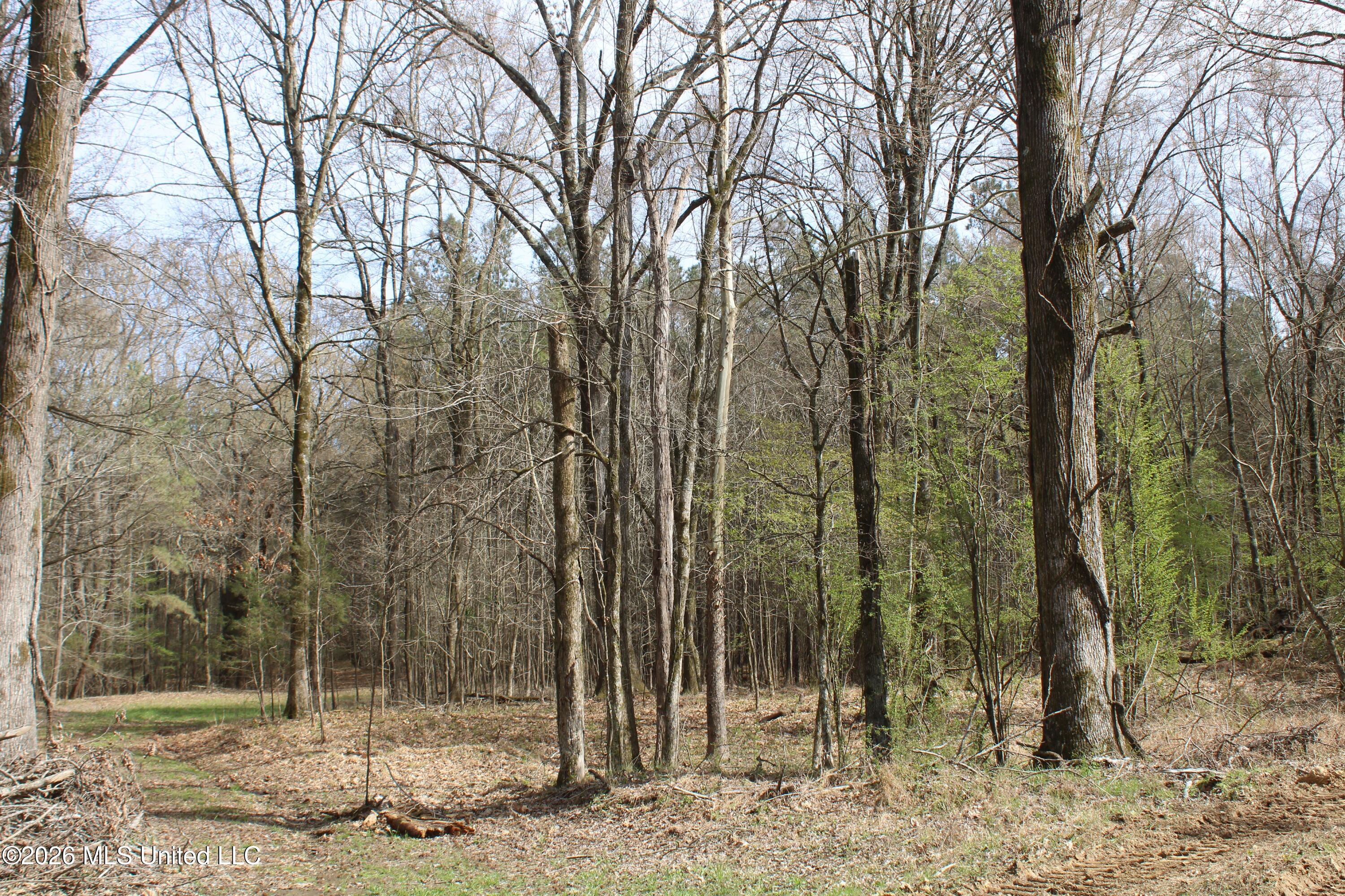 4500 Jaybird Road Hernando, MS 38632 - Photo 35 of 55 IMG_7565