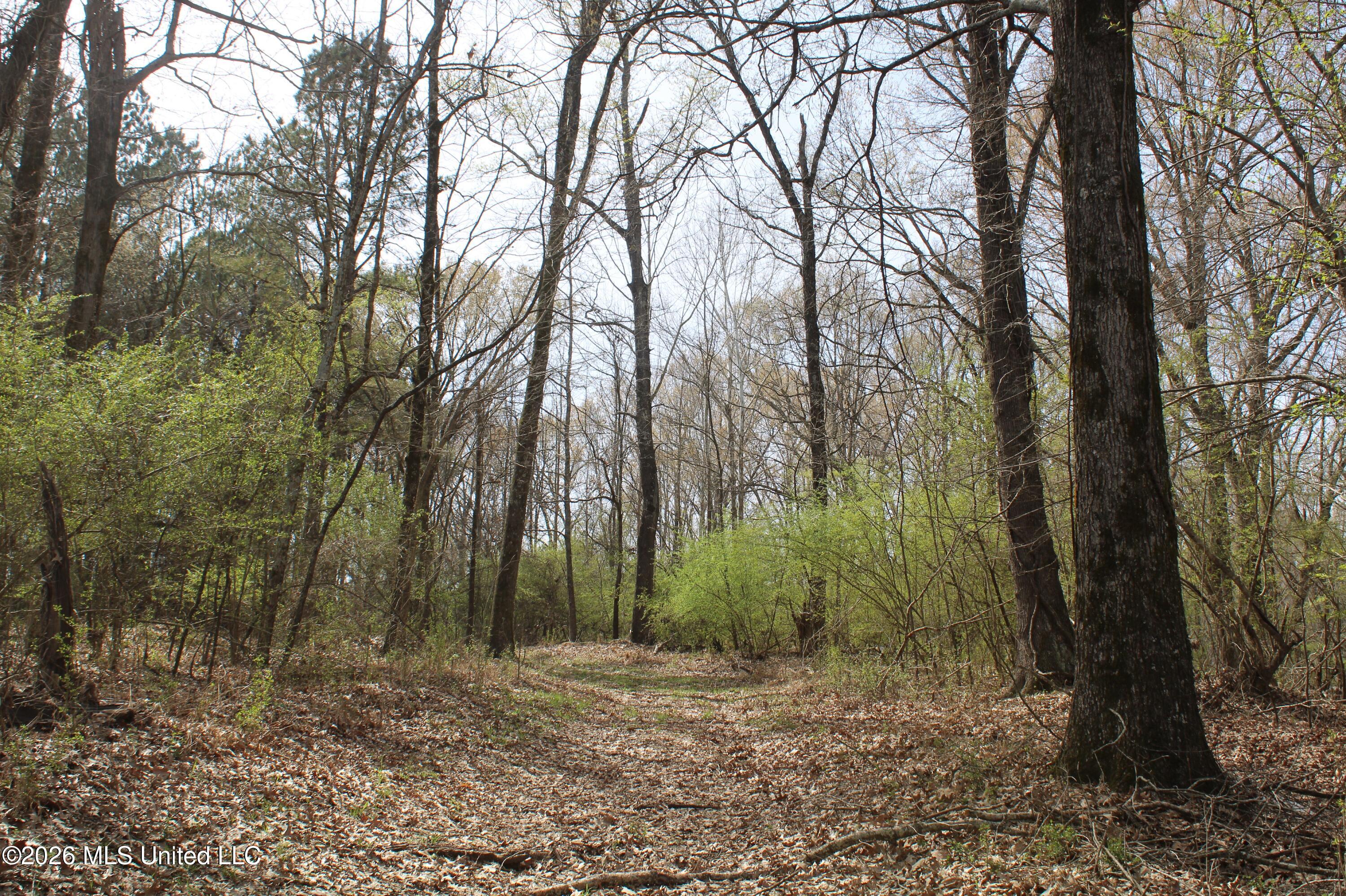 4500 Jaybird Road Hernando, MS 38632 - Photo 36 of 55 IMG_7566