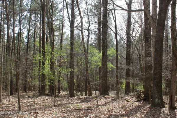 $10,500,000 | 4500 Jaybird Road, Hernando, MS 38632