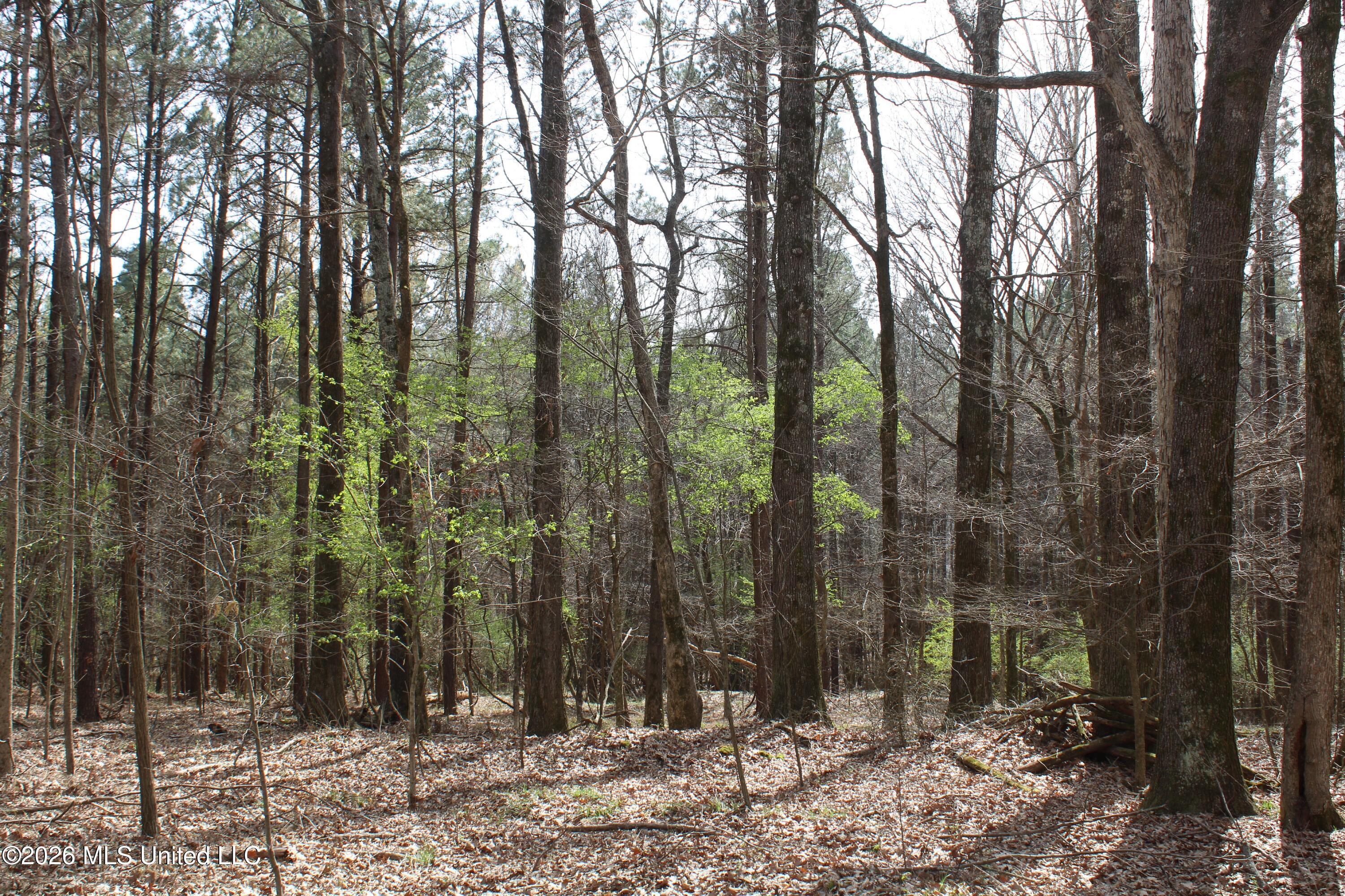 4500 Jaybird Road Hernando, MS 38632 - Photo 37 of 55 IMG_7567