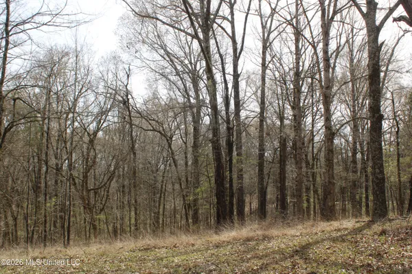 $10,500,000 | 4500 Jaybird Road, Hernando, MS 38632