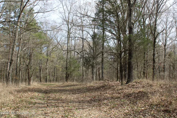 $10,500,000 | 4500 Jaybird Road, Hernando, MS 38632