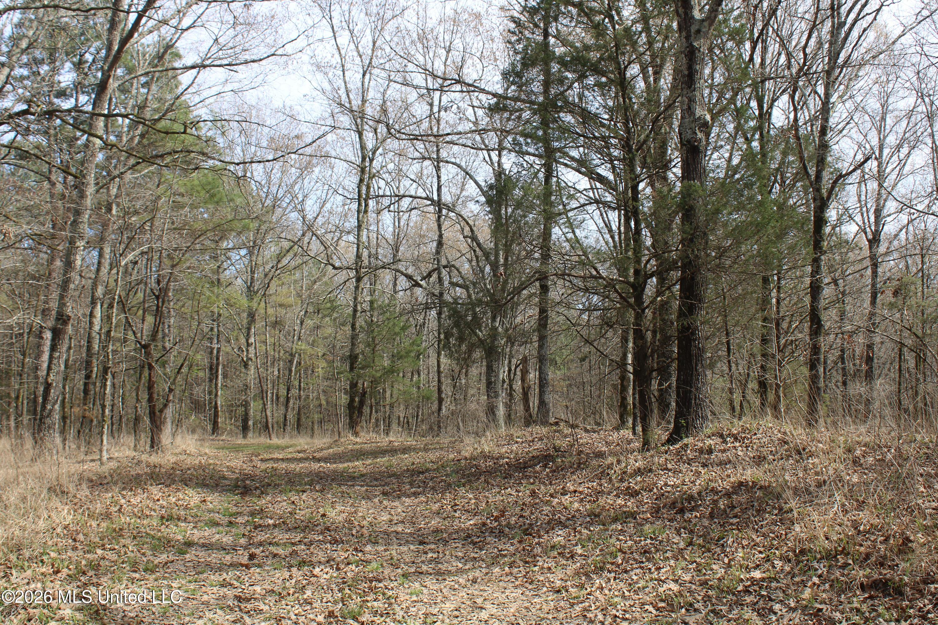 4500 Jaybird Road Hernando, MS 38632 - Photo 39 of 55 IMG_7569