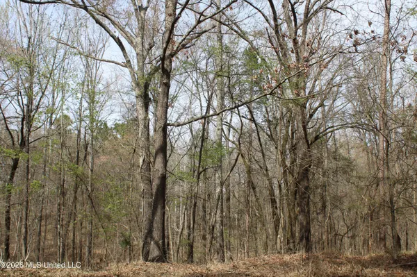 $10,500,000 | 4500 Jaybird Road, Hernando, MS 38632