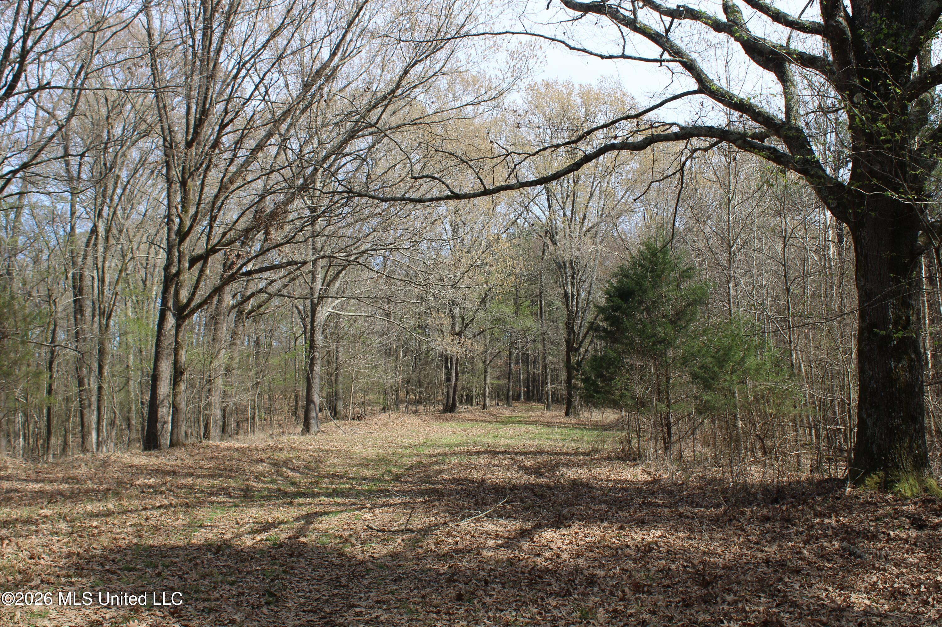 4500 Jaybird Road Hernando, MS 38632 - Photo 41 of 55 IMG_7571