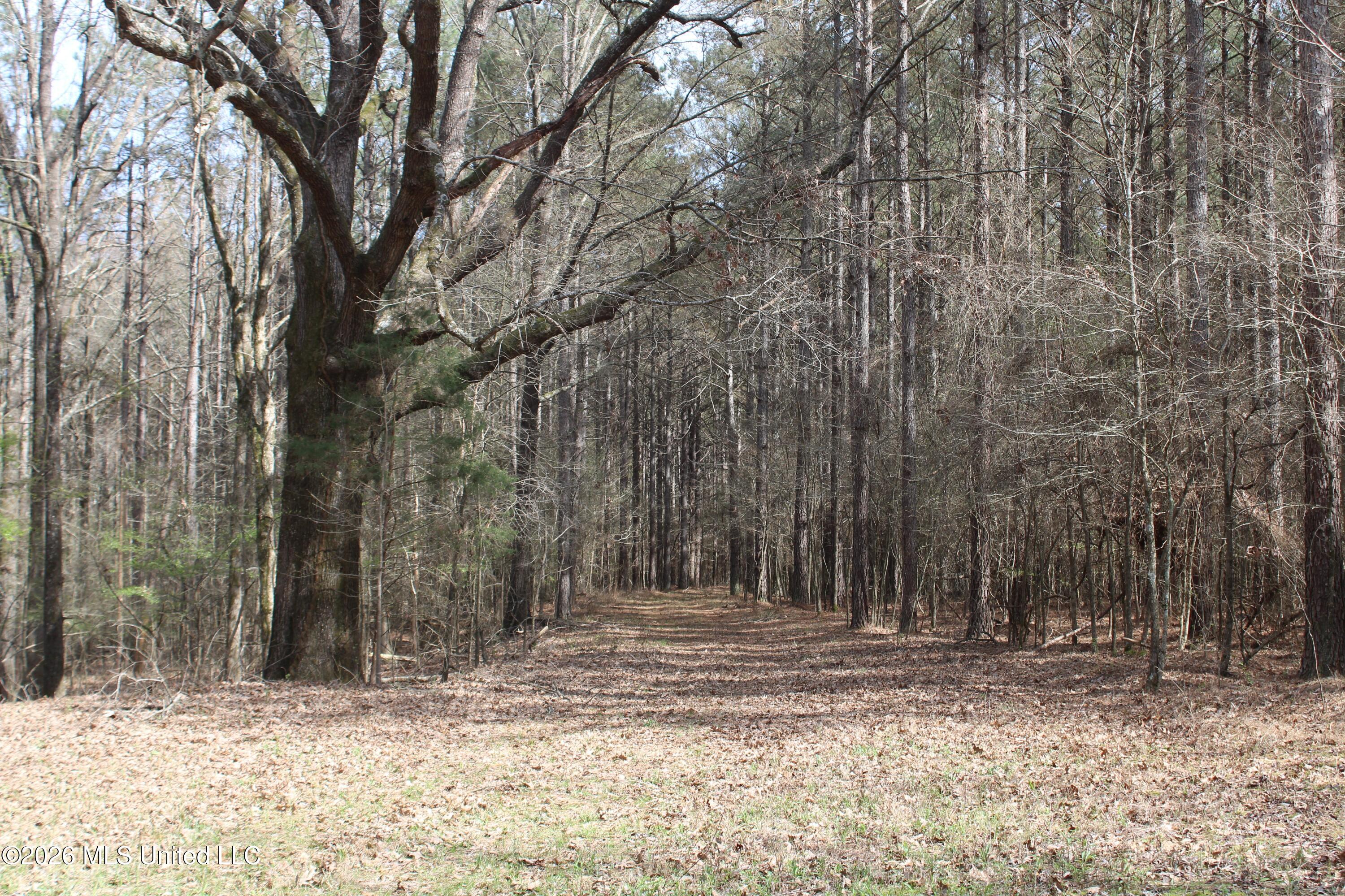 4500 Jaybird Road Hernando, MS 38632 - Photo 42 of 55 IMG_7572