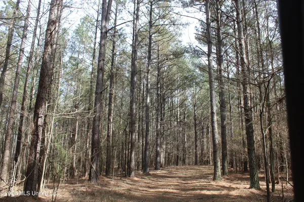 $10,500,000 | 4500 Jaybird Road, Hernando, MS 38632