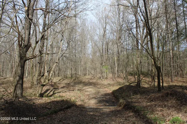 $10,500,000 | 4500 Jaybird Road, Hernando, MS 38632