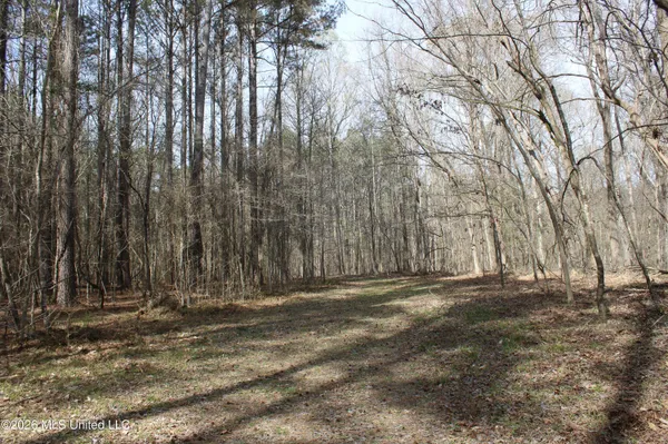 $10,500,000 | 4500 Jaybird Road, Hernando, MS 38632