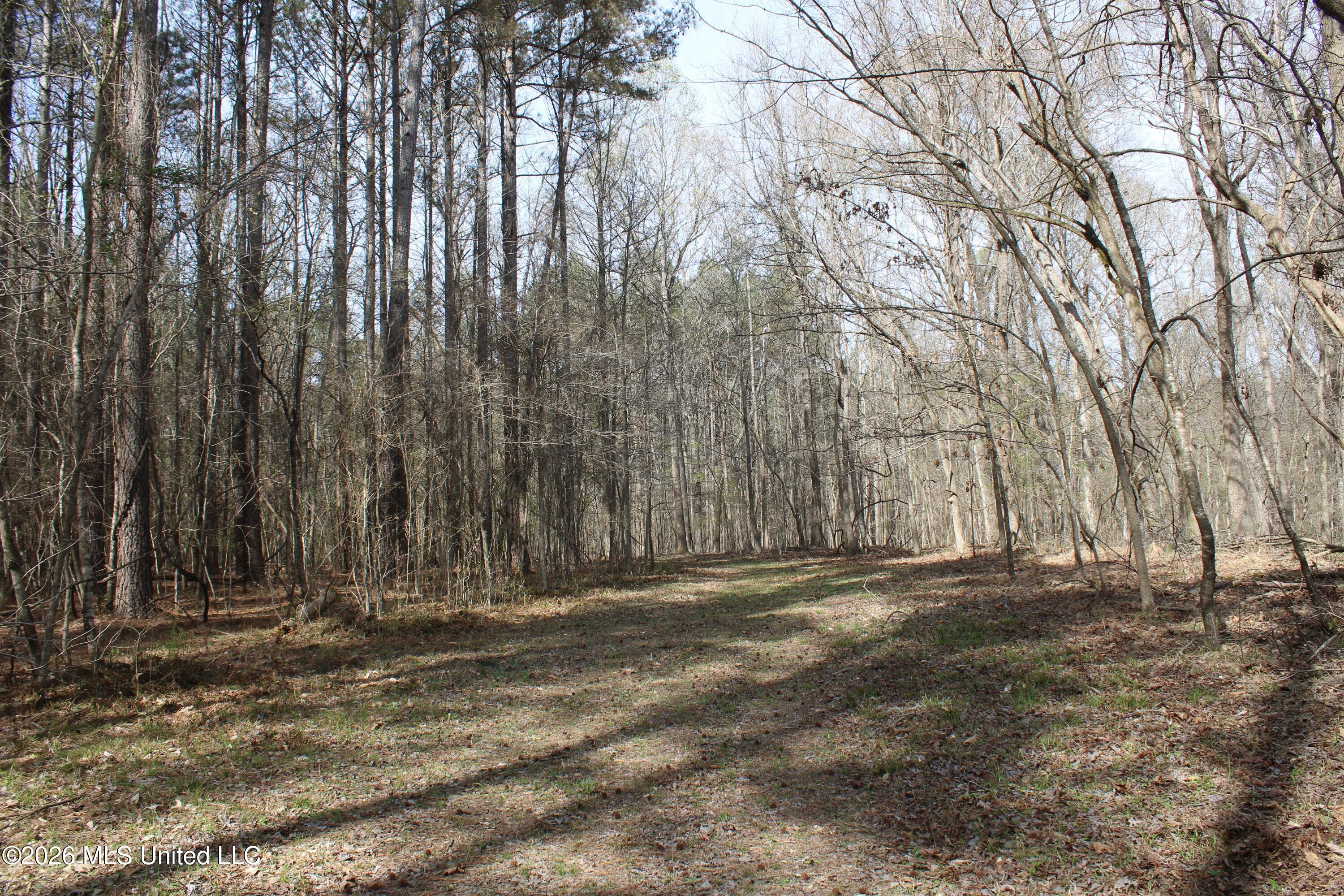 4500 Jaybird Road Hernando, MS 38632 - Photo 45 of 55 IMG_7575