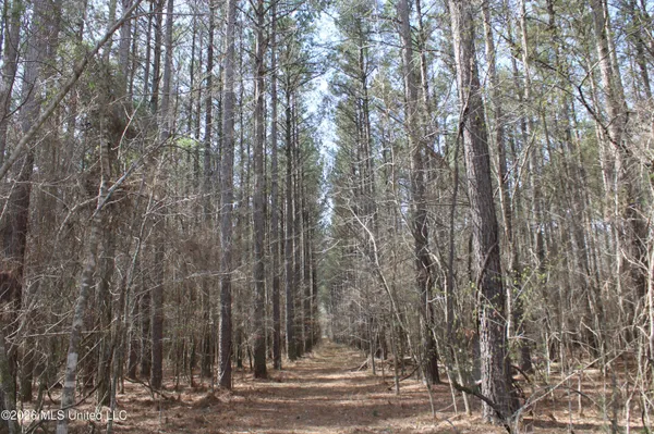 $10,500,000 | 4500 Jaybird Road, Hernando, MS 38632