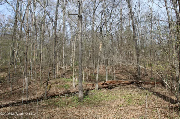 $10,500,000 | 4500 Jaybird Road, Hernando, MS 38632