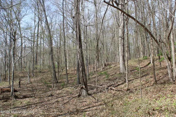 $10,500,000 | 4500 Jaybird Road, Hernando, MS 38632